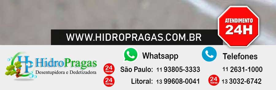 Litoral Sul de São Paulo - Contato